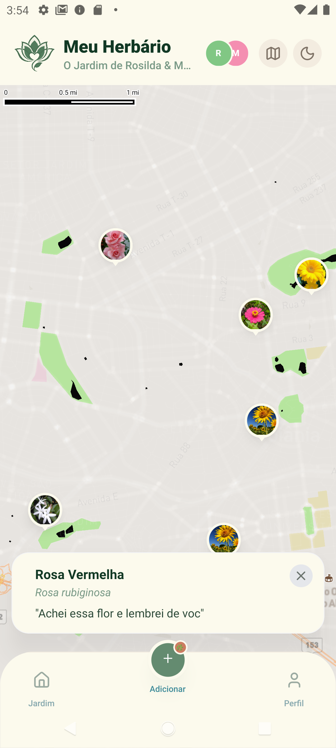 Mapa com as flores encontradas